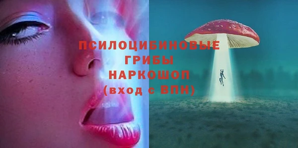 мяу мяу мука Аркадак