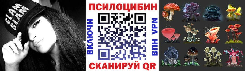 купить наркотики цена  Новоульяновск  Псилоцибиновые грибы Psilocybine cubensis 